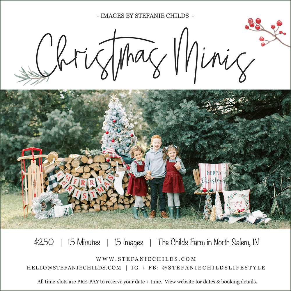 Christmas Mini Sessions | November 2020