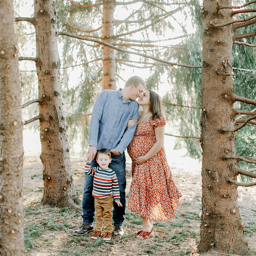 The Weimer Family | Maternity Session